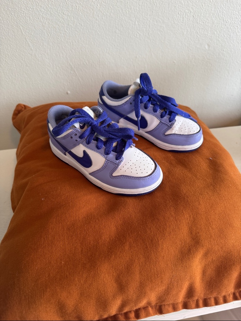 Nike Dunk Low Blueberry Sneakers DZ4457-100 Sz 10.5C Preschool